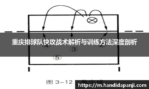 333体育官网