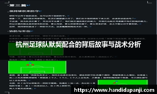 333体育官网